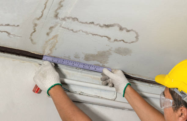 Reliable Water Damage Repair contractor in Cortland, IL by Aqua Guard Water Damage